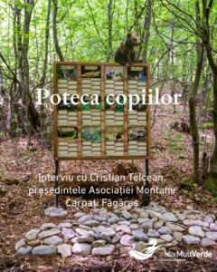 poteca copiilor mai mult verde 1