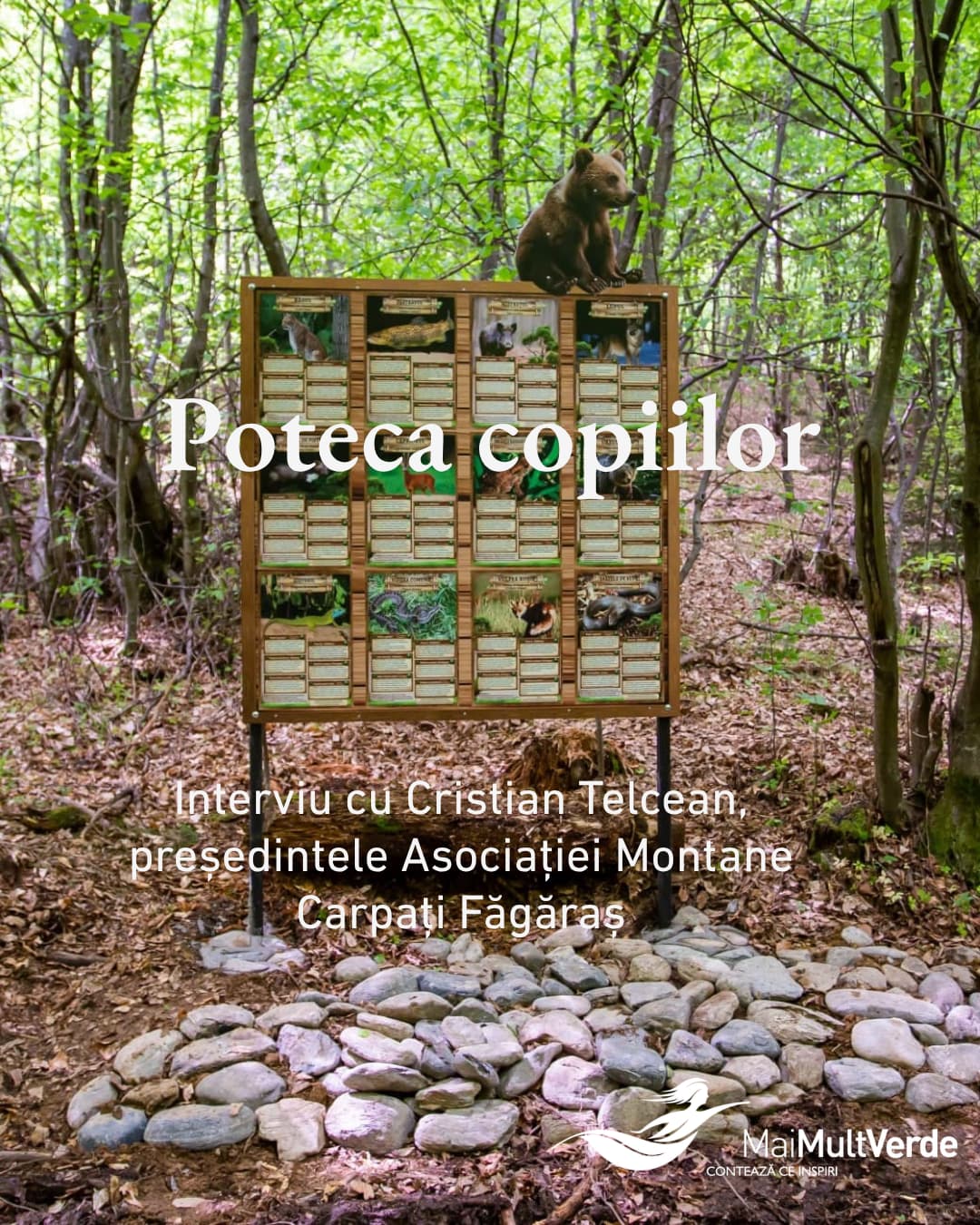 poteca copiilor mai mult verde 1