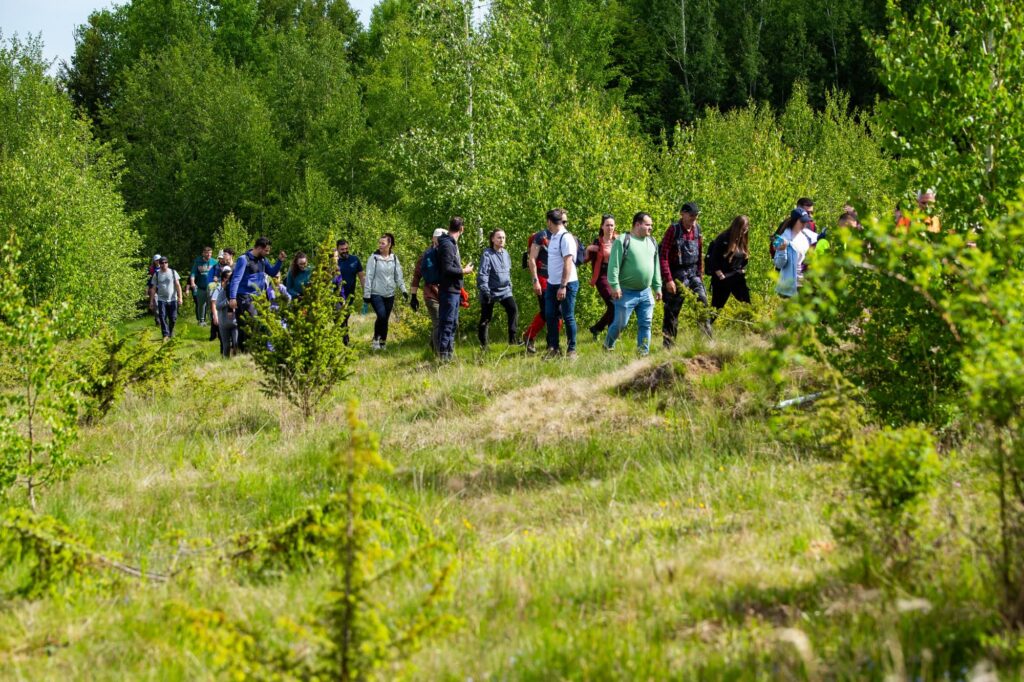 poteca copiilor mai mult verde 20